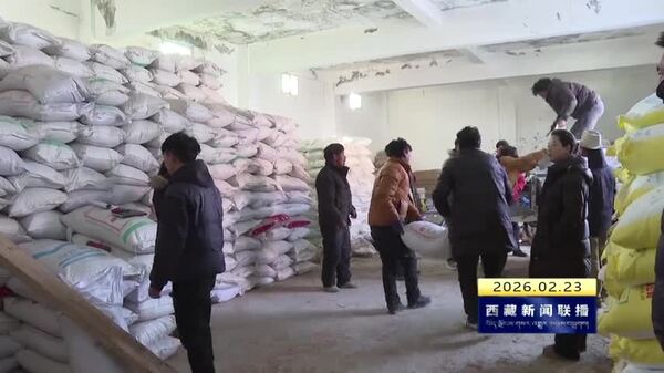 丁青开展良种集中发放工作