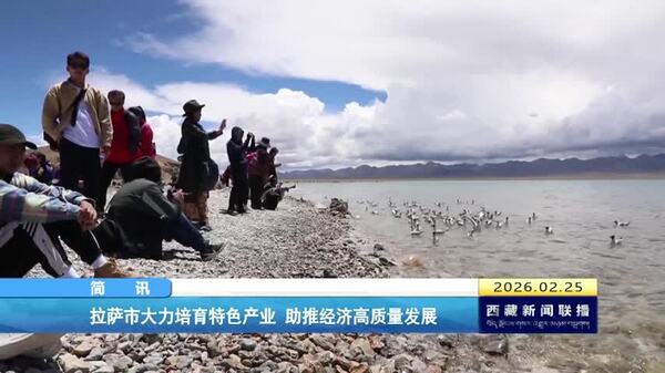 拉萨市大力培育特色产业 助推经济高质量发展
