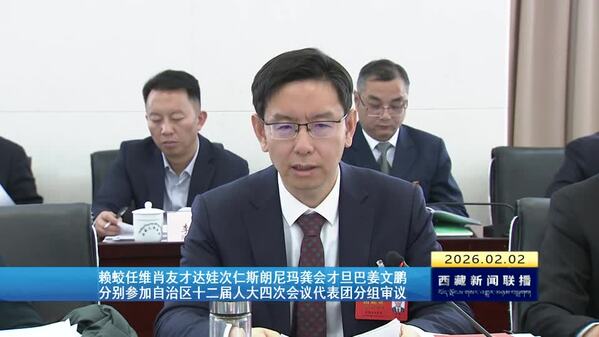 赖蛟任维肖友才达娃次仁斯朗尼玛龚会才旦巴姜文鹏分别参加西藏自治区十二届人大四次会议代表团分组审议