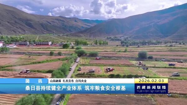 桑日县持续健全产业体系 筑牢粮食安全根基