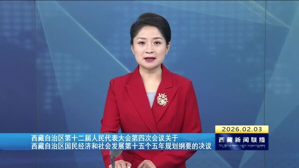 西藏自治区第十二届人民代表大会第四次会议关于西藏自治区国民经济和社会发展第十五个五年规划纲要的决议