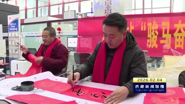 林芝市举办“深入生活 扎根人民”送万福进万家文艺志愿服务暨文化惠民活动