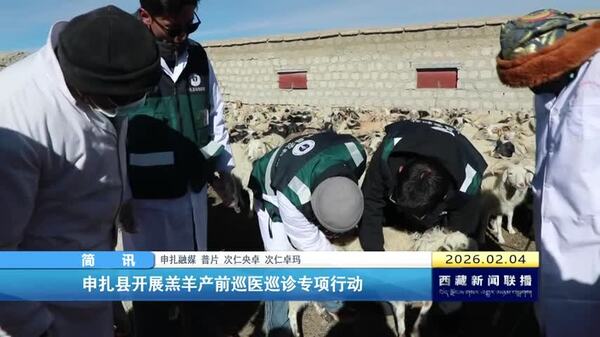 申扎县开展羔羊产前巡医巡诊专项行动
