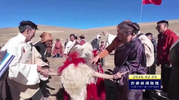 色尼区色雄乡举办第二届娘亚牦牛评比活动