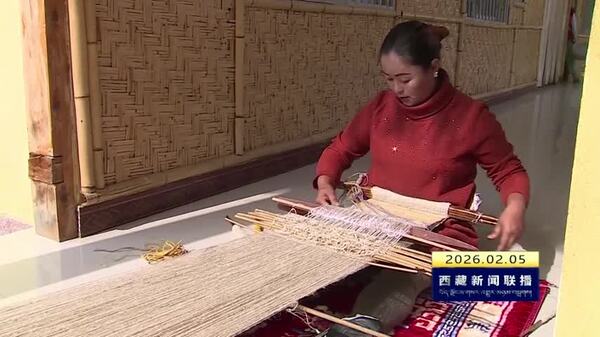 西藏自治区3家协会荣获“全国先进社会组织”称号