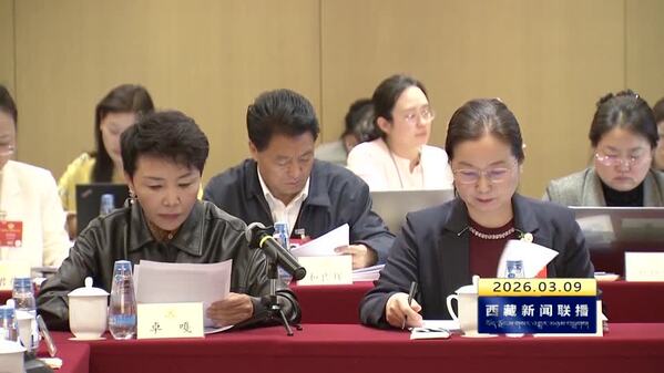 住藏全国政协委员继续参加各界别小组讨论
