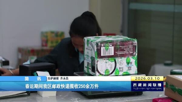 春运期间西藏自治区邮政快递揽收250余万件