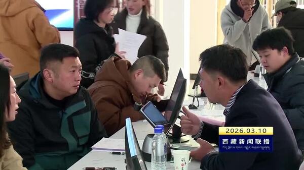 林芝市举办2026年“春风行动”暨第一期精品招聘会