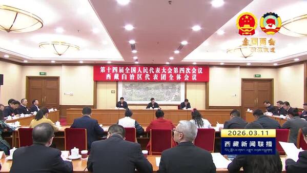 【全国两会融媒报道·直通北京】西藏代表团举行全体会议 审议有关报告和决议草案