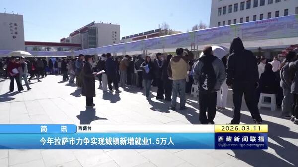 今年拉萨市力争实现城镇新增就业1.5万人
