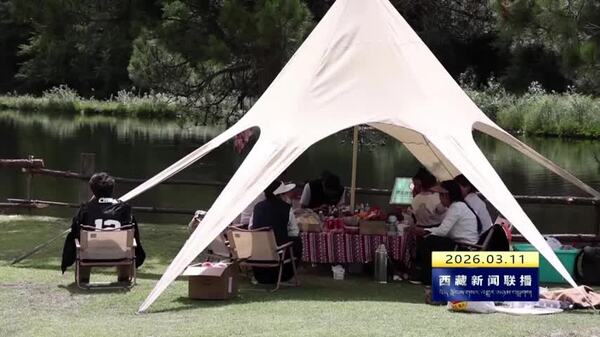 林芝市乡村旅游带动群众增收致富