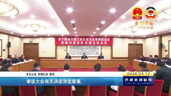 【全国两会融媒报道·直通北京】西藏代表团举行全体会议 审议大会有关决议决定草案