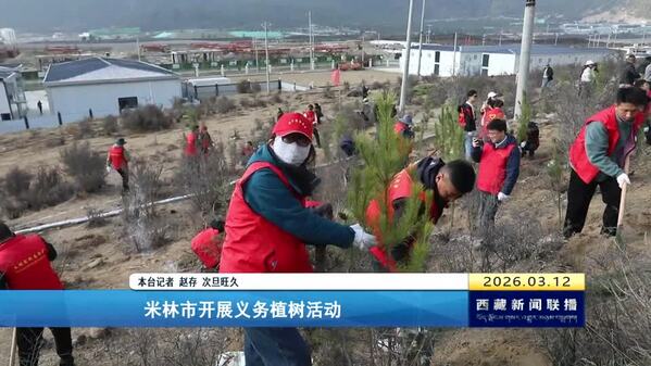 米林市开展义务植树活动