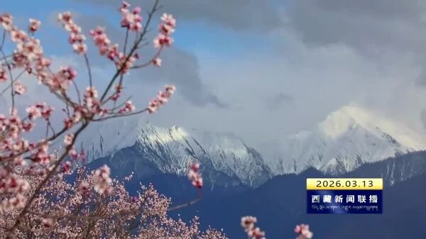 林芝市第二十三届桃花文化旅游节将于4月3日开幕