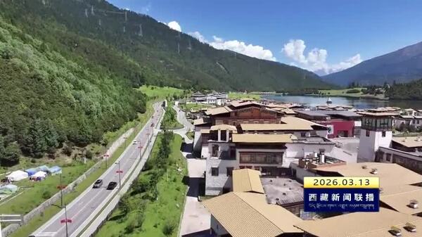 西藏自治区将推出文化品牌评价标准和溯源平台