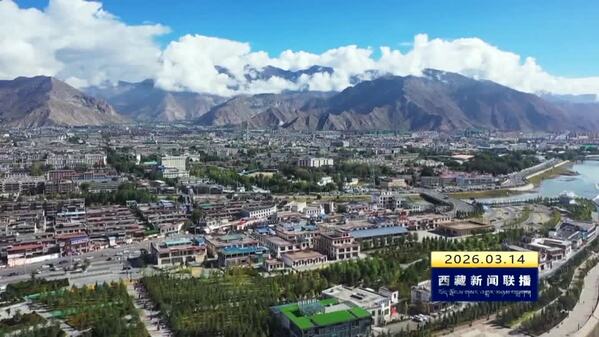 【“十五五”开好局起好步·“四件大事”在西藏】绘就幸福“同心圆” 筑起人才“珠峰带”