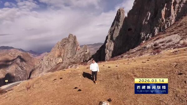 大型季播综艺节目《青稞飘香》第四季今晚播出