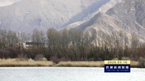 拉鲁湿地：城市绿洲奏响春之序曲