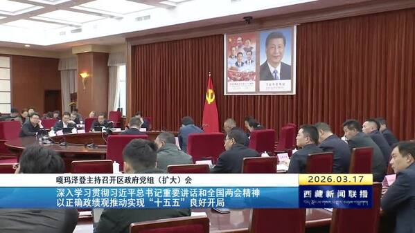 嘎玛泽登主持召开区政府党组（扩大）会 深入学习贯彻习近平总书记重要讲话和全国两会精神 以正确政绩观推动实现“十五五”良好开局