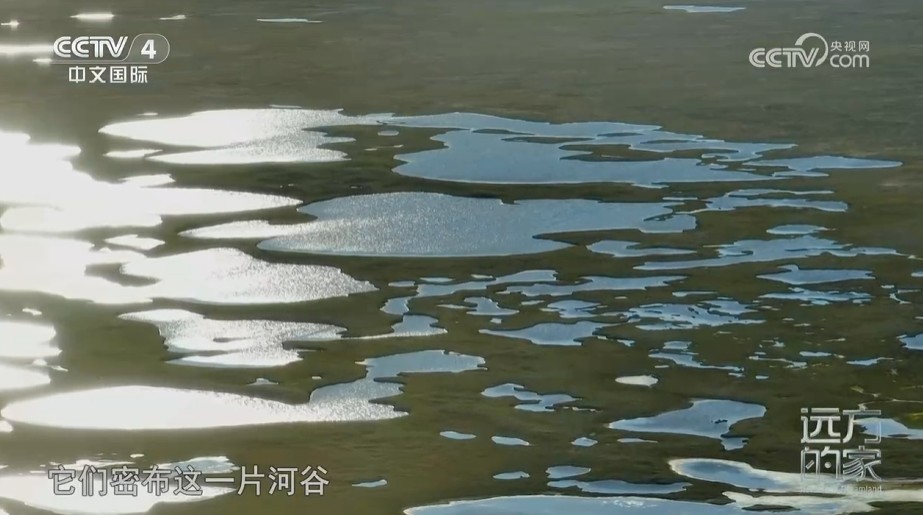 《远方的家》山河锦绣看中国 雪域高原 山河入画