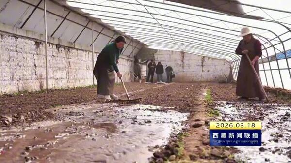 边坝县2026年春季育苗工作启动