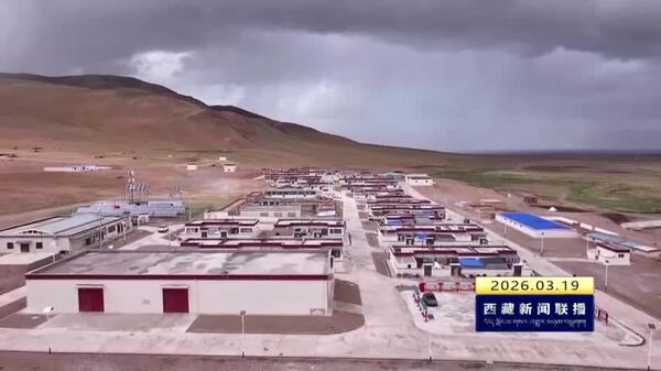 那曲市有序推进和美乡村项目