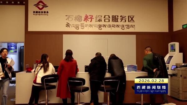 林芝市政务服务办件量突破100万件