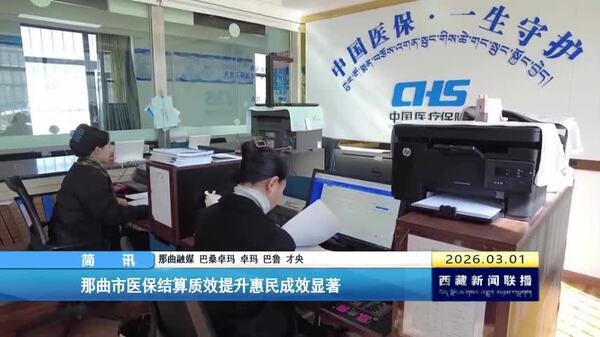 那曲市医保结算质效提升惠民成效显著