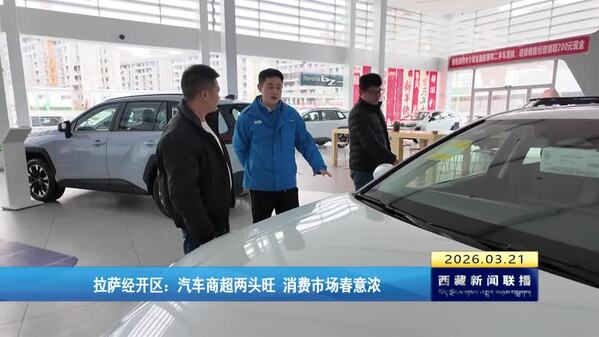 拉萨经开区：汽车商超两头旺 消费市场春意浓