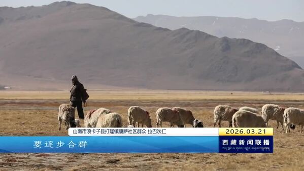 西藏自治区全力做好春季接羔育幼工作