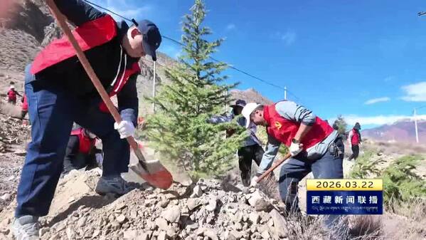 高原迎来植树季 增绿扩绿正当时