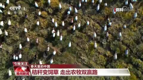 【春天里的中国】祁连山下 借牧转场正当时