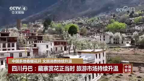 四川丹巴：藏寨赏花正当时 旅游市场持续升温