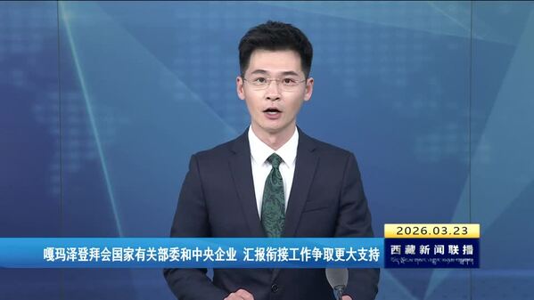嘎玛泽登拜会国家有关部委和中央企业 汇报衔接工作争取更大支持