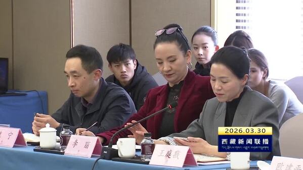 中国首部踢踏舞剧《扎西夏卓》晋京首演座谈会在北京举行