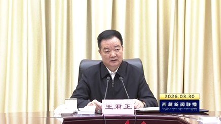 王君正主持召开自治区党委财经委员会会议时强调 深入学习贯彻习近平经济思想 结合实际培植高原特色产业 因地制宜加快新质生产力发展 确保“十五五”开好局起好步