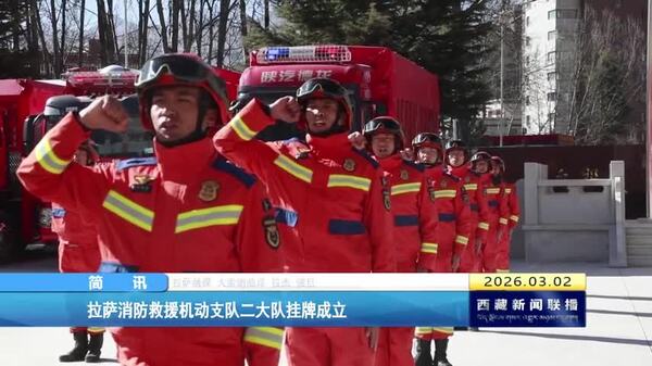 拉萨消防救援机动支队二大队挂牌成立
