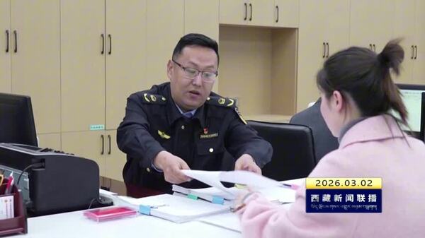 米林市政务服务“三级同厅一站办结”改革取得初步成效