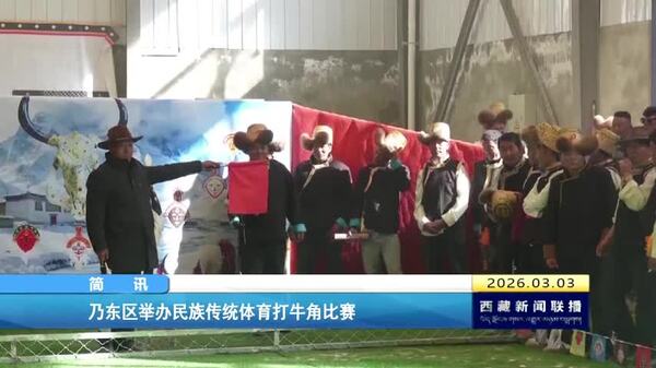 乃东区举办民族传统体育打牛角比赛