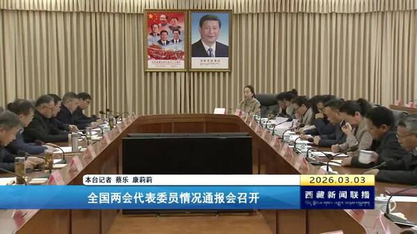 全国两会代表委员情况通报会召开