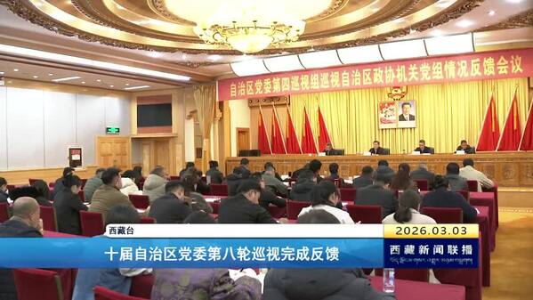 十届西藏自治区党委第八轮巡视完成反馈