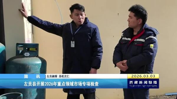 左贡县开展2026年重点领域市场专项检查