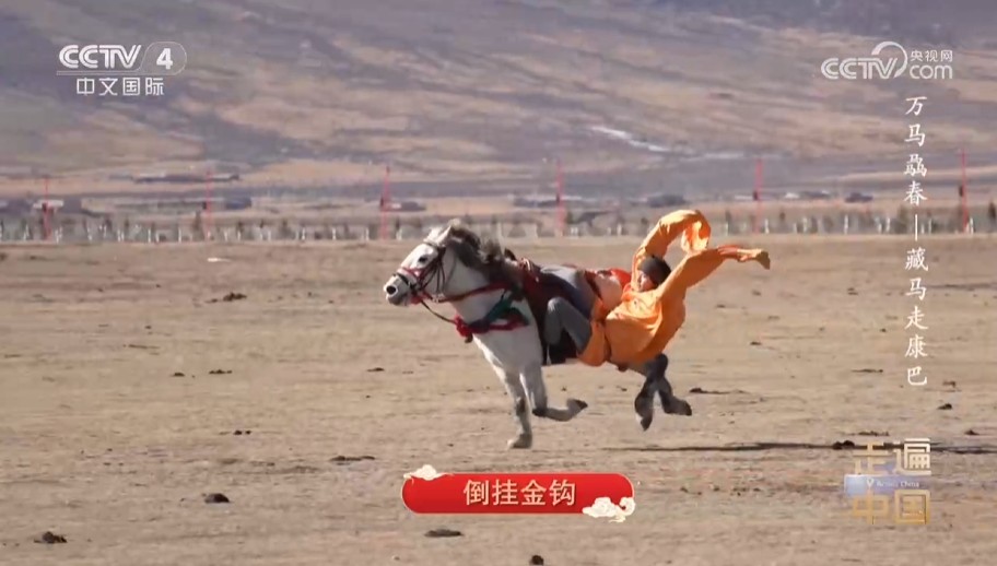 《走遍中国》万马骉春——藏马走康巴