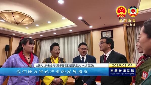 【全国两会融媒报道·直通北京】西藏自治区全国人大代表精心做好会前准备