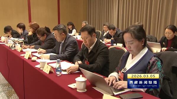 西藏自治区全国政协委员参加各界别小组讨论