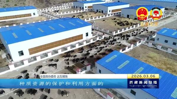 【全国两会融媒报道·直通北京】《履职建言》建务实之言助发展