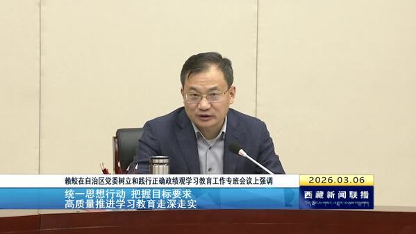 赖蛟在自治区党委树立和践行正确政绩观学习教育工作专班会议上强调 统一思想行动 把握目标要求 高质量推进学习教育走深走实