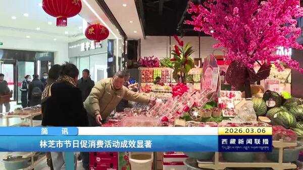 林芝市节日促消费活动成效显著