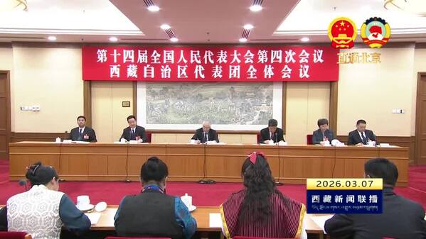 【全国两会融媒报道·直通北京】王君正在审议政府工作报告时强调 深入学习贯彻习近平新时代中国特色社会主义思想 努力推动长治久安和高质量发展 确保“十五五”开好局起好步