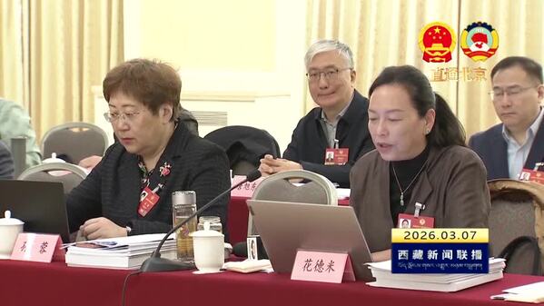 【全国两会融媒报道·直通北京】住藏全国政协委员继续参加各界别小组讨论